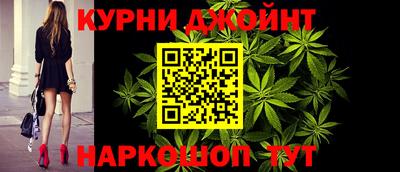 Альфа ПВП Малгобек