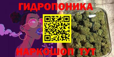 spice Мариинск