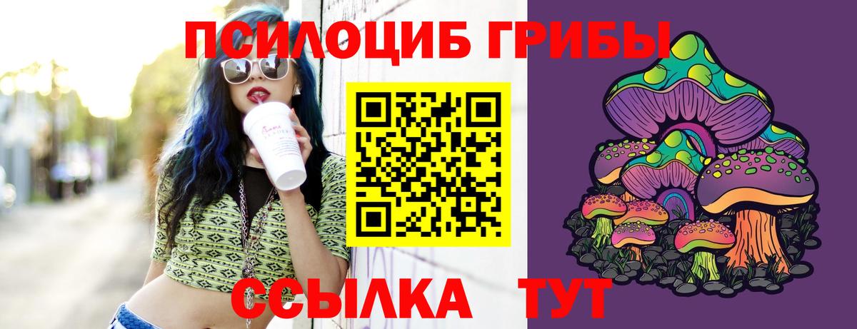 Галлюциногенные грибы Cubensis Иваново